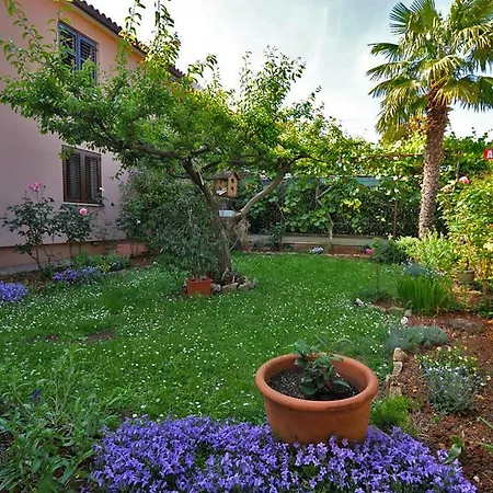 Apartament Casa Istriana *